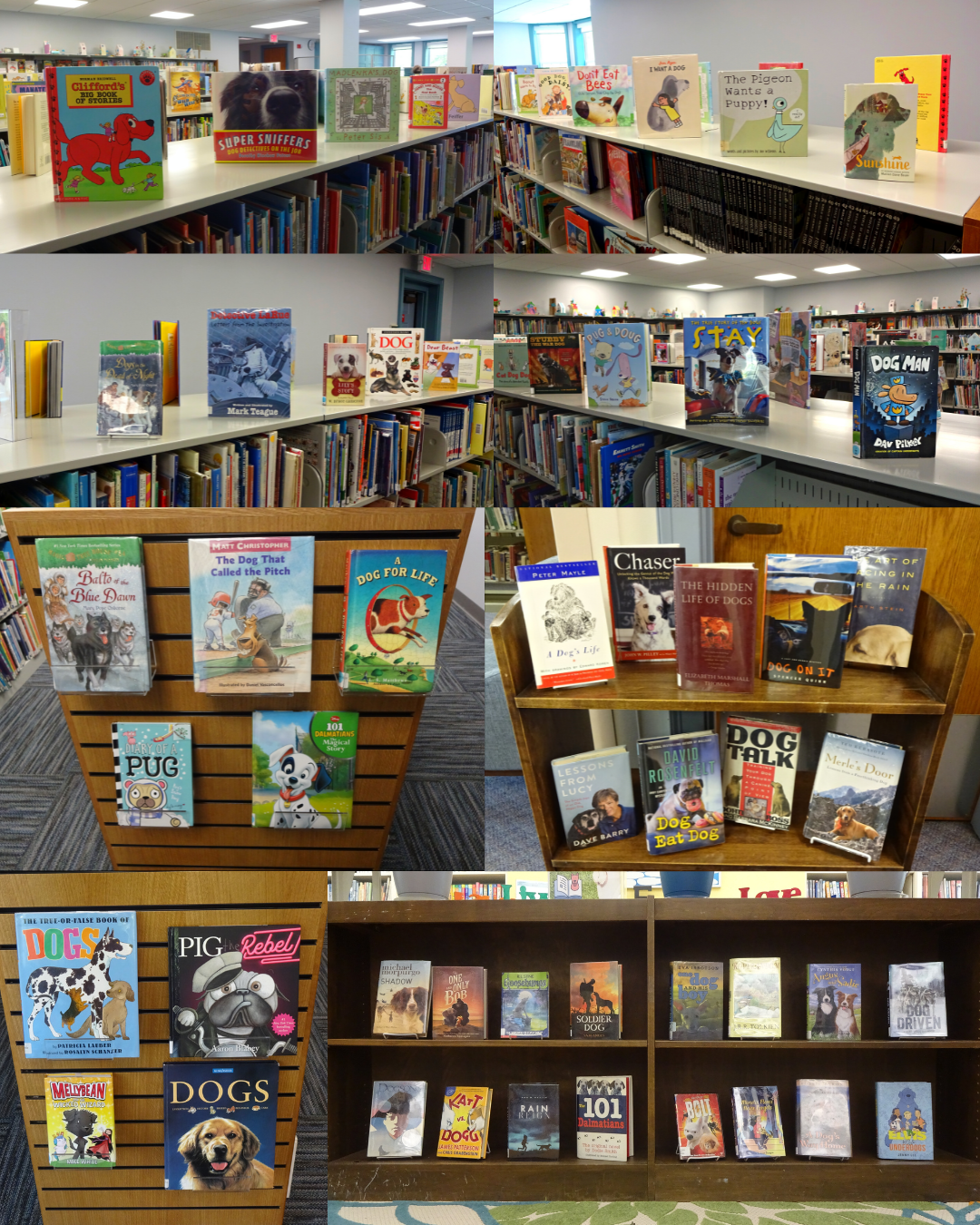 Dog Days Book Displays | Clark Memorial Library