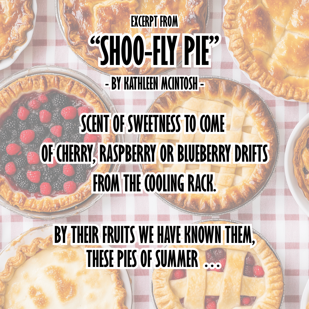 Shoo Fly Pie V1
